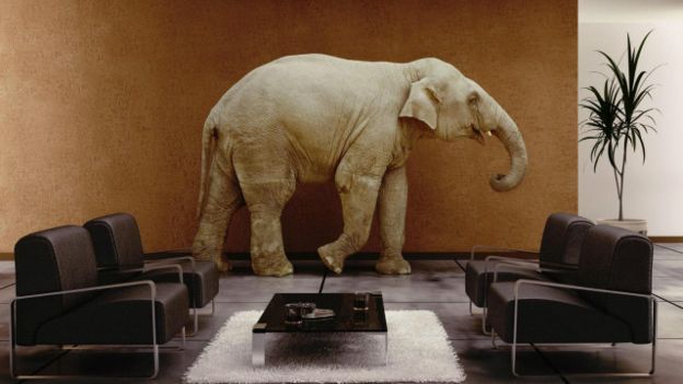 صور فيل ماموث فيلة صورة عالم الحيوان